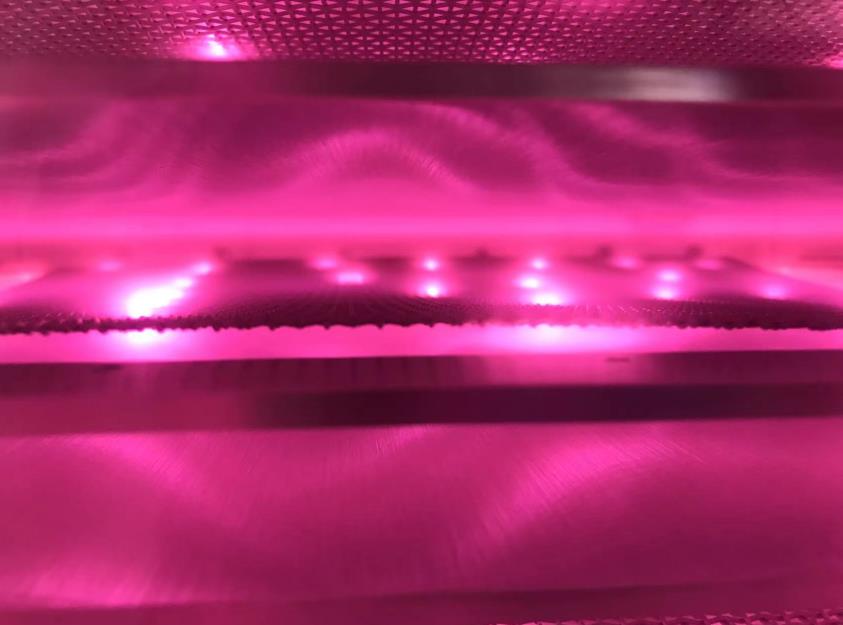 91视频网站免费機