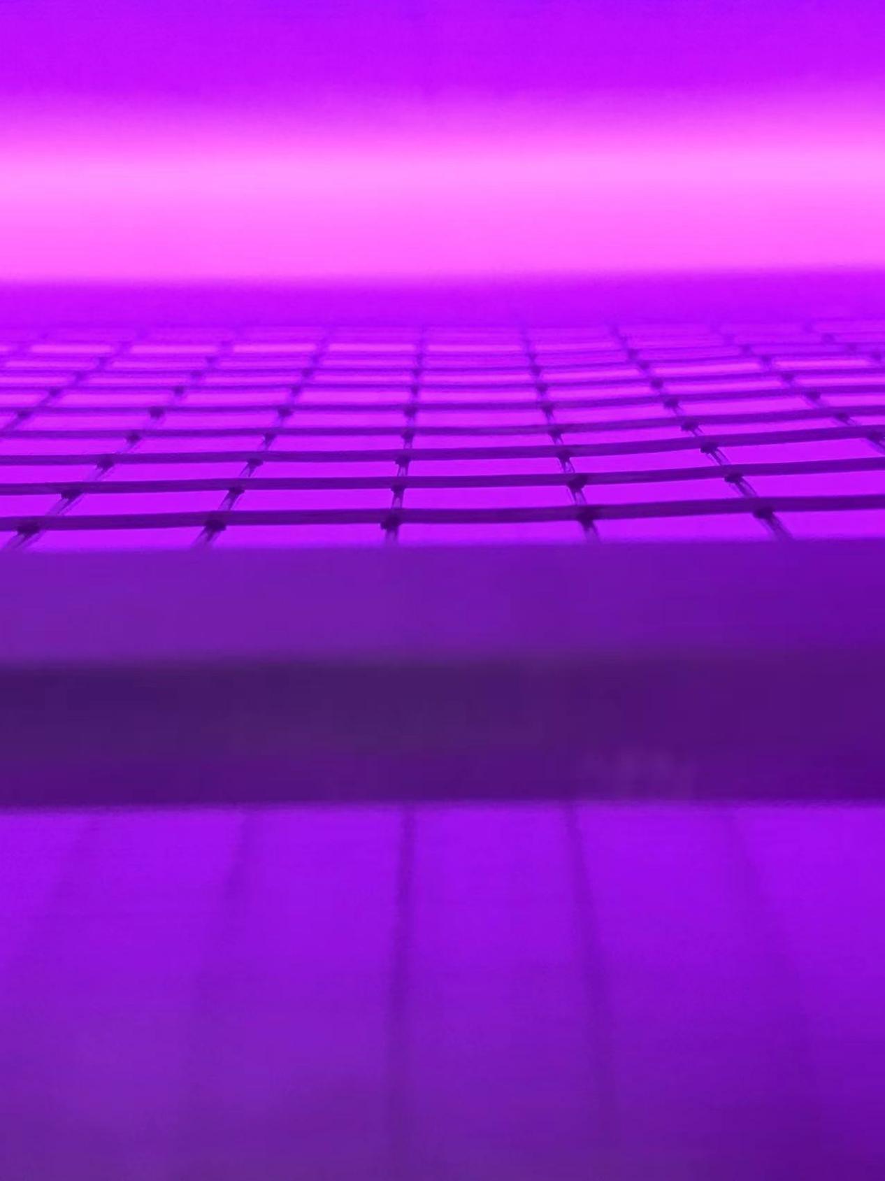真空91视频网站免费機