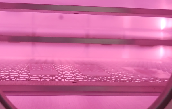 91视频网站免费機