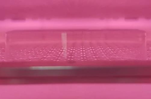91视频网站免费機