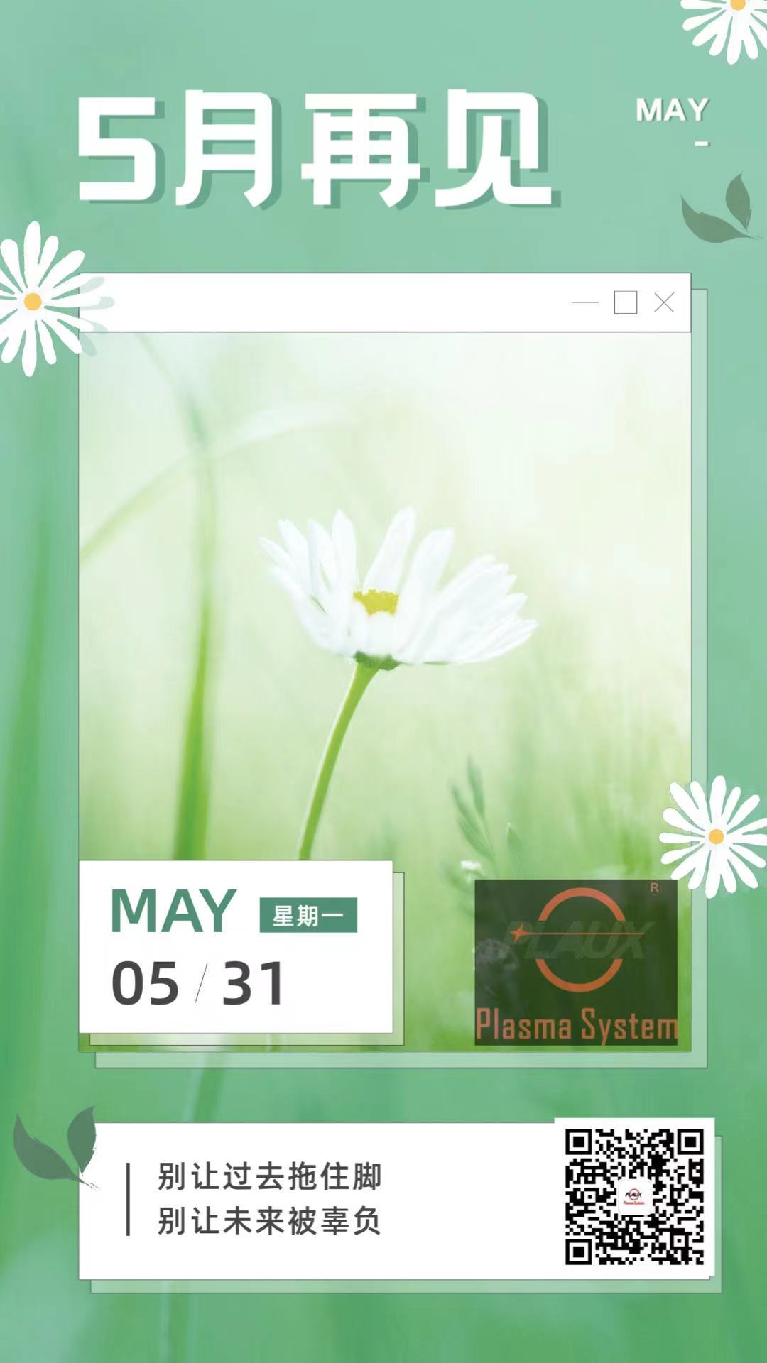 91视频官网APP